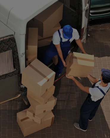 service